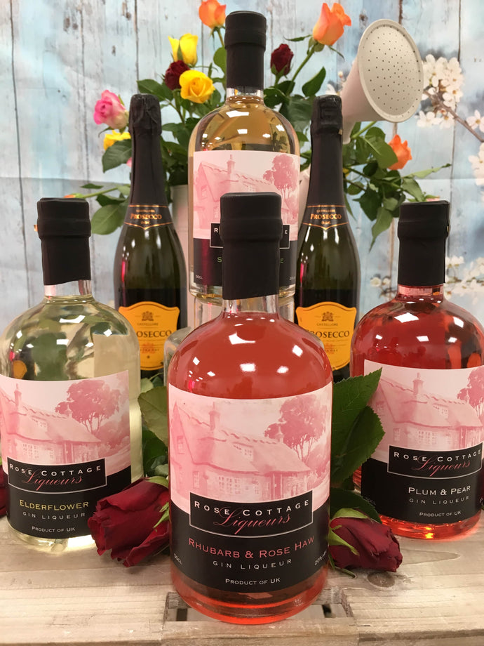 4 Large Bottles of Gin And Vodka Liqueurs Saving £13 Jo