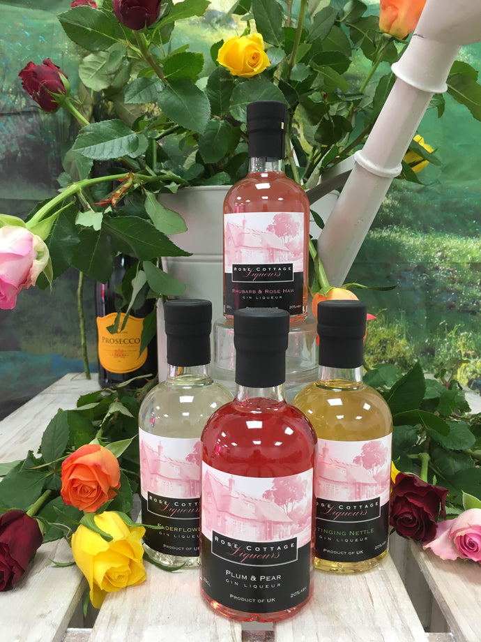 4 Small Bottles of Flavoured Gin Liqueur Saving £8