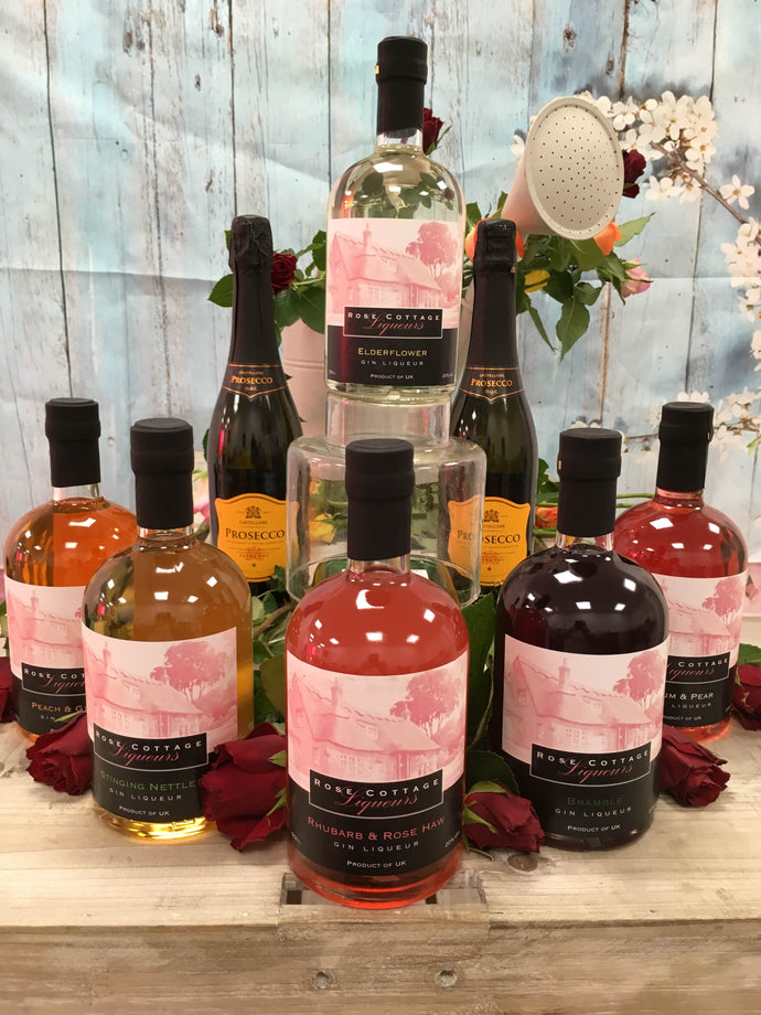 6 Large bottles of Gin and Vodka Liqueurs Saving £18 !